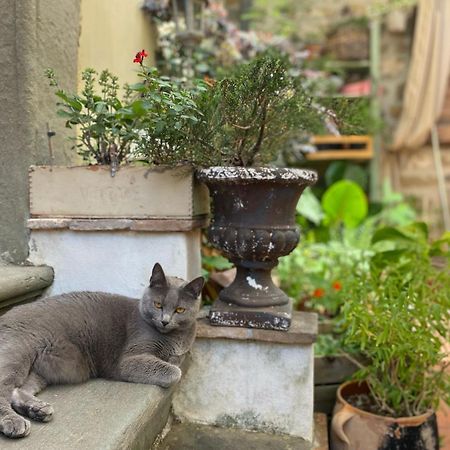 La Magione Dei Todaro Borgo a Buggiano Ngoại thất bức ảnh