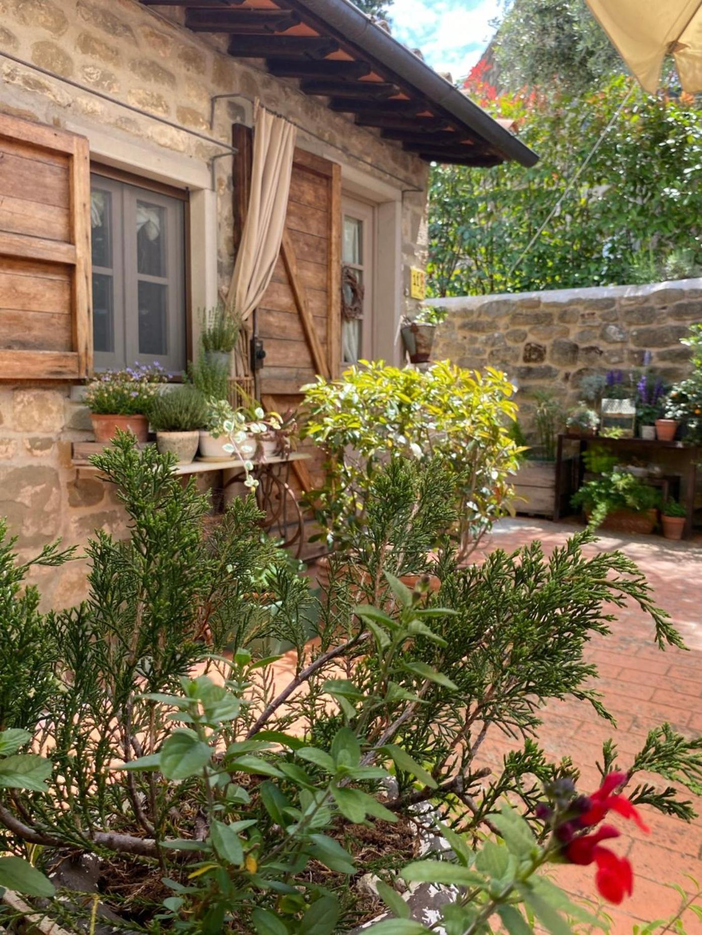 La Magione Dei Todaro Borgo a Buggiano Ngoại thất bức ảnh